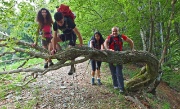 14 Più che le braccia potè la natura...